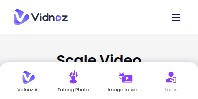 Vidnoz logo